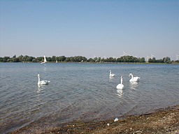 By Holbein66 (Own work) [CC-BY-SA-3.0 (http://creativecommons.org/licenses/by-sa/3.0)], via Wikimedia Commons